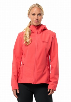 Red Jack Wolfskin Bornberg Hoody Women Softshell Jackets | 29530985